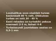 Turvas #3