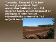 Turvas #4