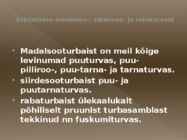 Turvas #5