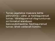Turvas #6