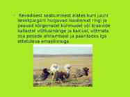 TUTKAS #11