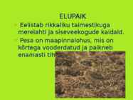 TUTKAS #7