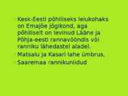TUTKAS #8