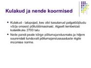 Maareform ja kolhooside loomine #6
