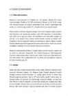 Brasiilia teemaline referaat #4