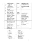 Vene keel - Grammatika Reeglite Tabelid #31