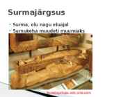 Egiptus #7