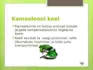 Kameeleon #5