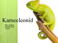 Kameeleon