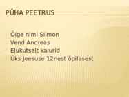 Pühakud-Peetrus ja Paulus #3