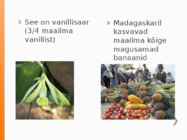 Madagaskar #5