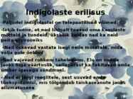 Indigolapsed #11