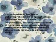 Indigolapsed #14