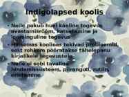Indigolapsed #15