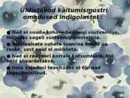 Indigolapsed #4