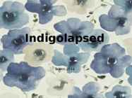 Indigolapsed