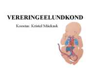 VERERINGEELUNDKOND