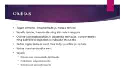 A-vitamiin #6