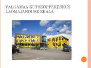12 SAMMU ÕPETAJAKS KUJUNEMISEL #8
