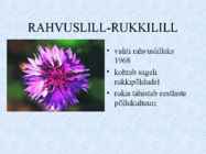 Eesti riiklik ja rahvussümboolika #9