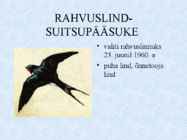 Eesti riiklik ja rahvussümboolika #10