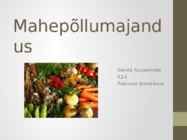 Mahepõllumajandus