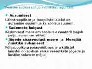 Soolsus #5