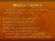 Mullad #3