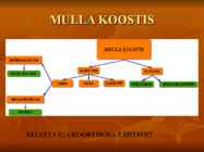 Mullad #4