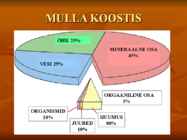 Mullad #5