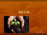 Mullad