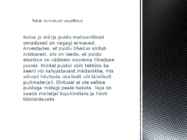 Puidu kuivatamine esitlus #4