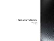 Puidu kuivatamine esitlus