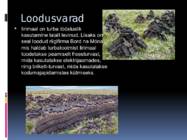 Iirimaa #16
