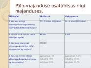 Põllumajandus Hollandis #9