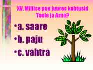 Kevade powerpoint #16