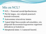 Nimetu #2