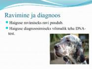 Nimetu #7
