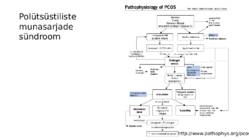 Suguhormoonide ala- ja ületalitluse etiopatogenees #21