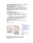 Füsioloogia kordamisküsimused 2014 #15