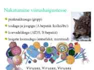 Viirushaigused #2