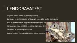 Lendoravad eesti metsades #2