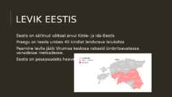 Lendoravad eesti metsades #7