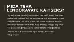 Lendoravad eesti metsades #9
