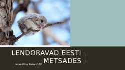 Lendoravad eesti metsades