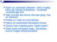 Linnud talvel #19