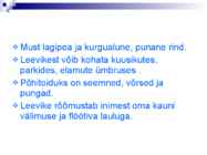 Linnud talvel #3
