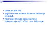 Linnud talvel #21