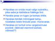 Linnud talvel #23