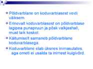 Linnud talvel #27